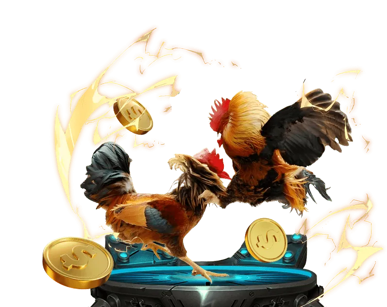 Hướng dẫn chơi casino trực tuyến SH Bet 800